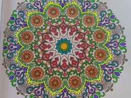 whatsapp bild 2024-07-16 um 19.26.34_0df9e1cb